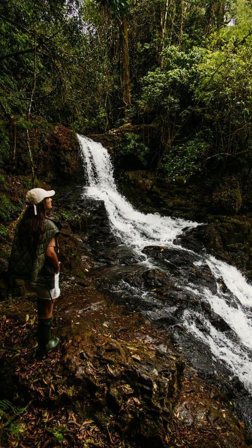 Reserva Natural Iguazu - Pristine Luxury Camp Puerto Libertad Екстериор снимка