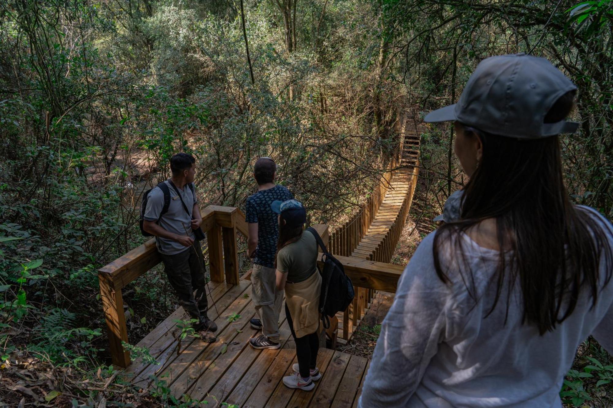 Reserva Natural Iguazu - Pristine Luxury Camp Puerto Libertad Екстериор снимка
